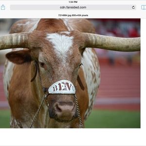 Meet your Posher, Craig